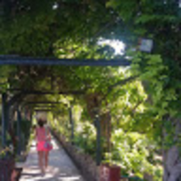 Meet your Posher, Dorina - Picture 1 of 1